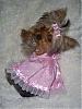 In Honor Of "National Dress Your Pet Day"!!!  :)-s5031533.jpg