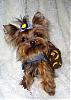 In Honor Of "National Dress Your Pet Day"!!!  :)-s5031580.jpg