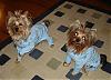Their Birthday Jammies Came!!!-4.jpg