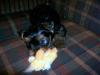 Wyatt Loves His New Toy-cimg1214.jpg