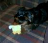 Wyatt Loves His New Toy-cimg1215.jpg