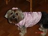 Sophie pictures (new coat)-58536514.jpg