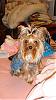 I Am So In Love With Roxy Right Now...-m_dsc01205.jpg