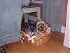 Pictures of Autumn-autumn-toy-basket.jpg