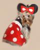 My Minnie Mouse Yorkie-minniemousedress2.jpg