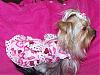 My Sweet Heart Layla....New Valentine Dress-100_0932.jpg