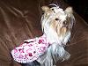 My Sweet Heart Layla....New Valentine Dress-100_0940.jpg