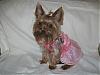 VALENTINE photos in here!-img_1261.jpg