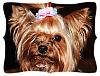 Our New Bows-sammie-bow-11.jpg