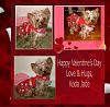 VALENTINE photos in here!-happy-valentines-day.jpg