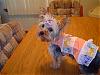 Molly In Her Special Easter Dress-molly-easter.jpg