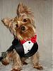 All Ready For the Valentine's Ball!!!!-val9.jpg