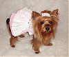 Lacy Is Ready For Spring In Her New ChloeBella Dresses!-pinafore.jpg