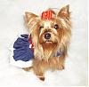 Lacy Is Ready For Spring In Her New ChloeBella Dresses!-sailor4.jpg