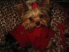 VALENTINE photos in here!-5.jpg