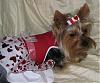 VALENTINE photos in here!-newmaddieandsophie-096-medium-.jpg