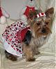 VALENTINE photos in here!-newmaddieandsophie-098-medium-.jpg