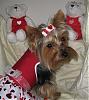 VALENTINE photos in here!-newmaddieandsophie-094-medium-.jpg