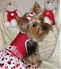 VALENTINE photos in here!-newmaddieandsophie-092-medium-.jpg