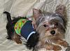 VALENTINE photos in here!-newmaddieandsophie-053-medium-.jpg