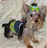 VALENTINE photos in here!-newmaddieandsophie-054-medium-.jpg
