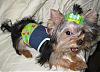 VALENTINE photos in here!-newmaddieandsophie-060-medium-.jpg