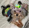 VALENTINE photos in here!-newmaddieandsophie-062-medium-.jpg