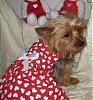 Two Pretty Girls Need Valentines!!!!-newmaddieandsophie-046-medium-.jpg