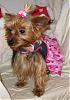 VALENTINE photos in here!-newmaddieandsophie-103-medium-.jpg