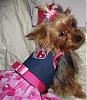 VALENTINE photos in here!-newmaddieandsophie-105-medium-.jpg