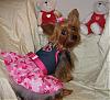 VALENTINE photos in here!-newmaddieandsophie-107-medium-.jpg
