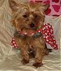 VALENTINE photos in here!-newmaddieandsophie-042-medium-.jpg