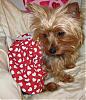 VALENTINE photos in here!-newmaddieandsophie-044-medium-.jpg