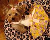 Des made me a NEW dress-dsc00291.jpg