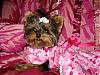 Martini in her New Dresses-dsc007262.jpg