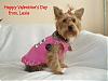 A smorgasboard of pictures-2-9-lexie-valentines-day.jpg