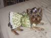 Bridgets new Duds!!!-dsc00019.jpg