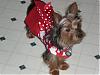 sassy's valentine photos-picture-118.jpg