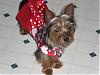 sassy's valentine photos-picture-121.jpg