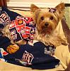 NJ Nets Fan-dsc00014.jpg