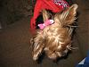 I french braided her hair!!-img_2528.jpg