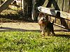 My babies enjoying a warm February afternoon..-pixie-garden-1.jpg