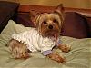 I am a DIVA-dsc00169.jpg