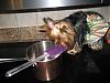 Calling all yorkie cooks!!!-rsz1151.jpg