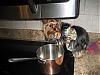 Calling all yorkie cooks!!!-rsz1148.jpg