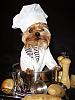 Calling all yorkie cooks!!!-scanimage006.jpg