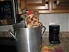 Calling all yorkie cooks!!!-rsz1155.jpg
