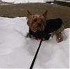 Snow Day....YIPPY!!!!-hpim0295.jpg