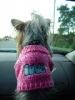 New Pink Sweater-pink-sweeter-back-sm3.jpg