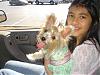 Tinkerbell on her way to meet Albert at petsmart!!-spring-2008-005.jpg